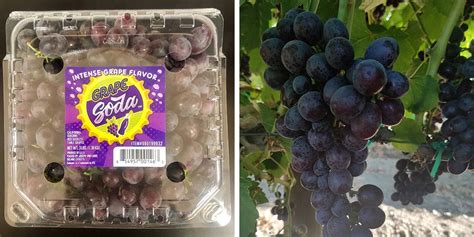 Forget Cotton Candy Grapes — Sam’s Club Is Selling Grape Soda Grapes