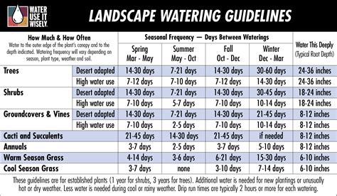 Plant Watering Guide - Interactive Watering Guides - Water Use It Wisely