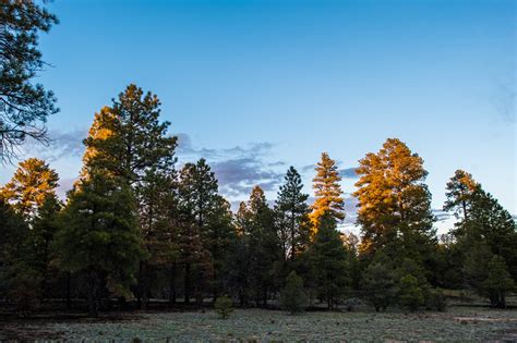 Guide to Camping in Grand Canyon National Park - Outdoor Project