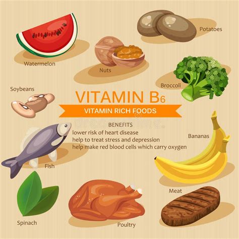 Vitamins And Minerals Foods Illustration. Vector Set Of Vitamin Rich Foods. Vitamin B6. Bananas ...