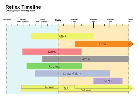 Primitive Reflex Integration Chart - Solve Learning Disabilities