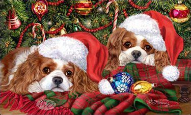 shop for cards Cavalier King Charles Spaniel | Cavalier king charles, King charles dog, Cavalier ...