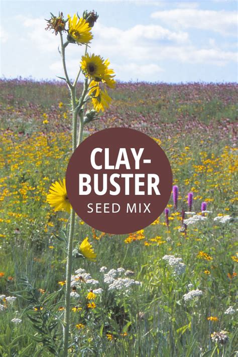 Native Prairie Seed Mixes | Prairie Nursery