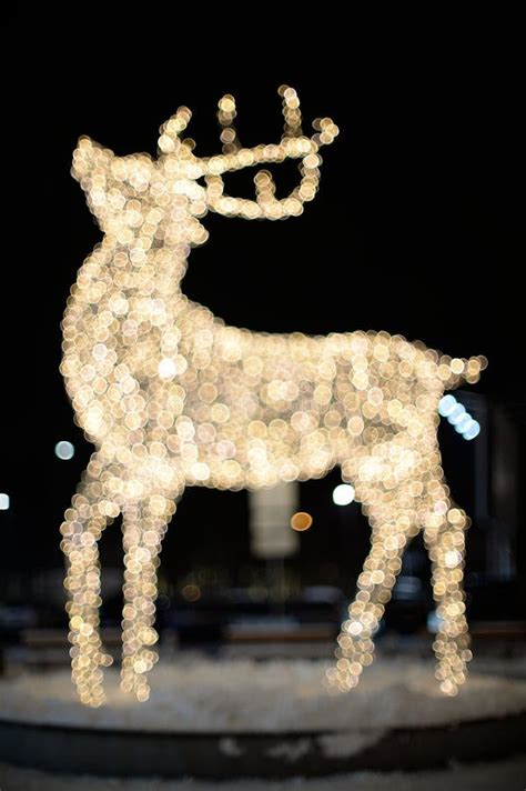 Reindeer Christmas lights stock image. Image of year - 35856459