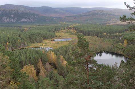 8 of the Best Walks in the Cairngorms National Park