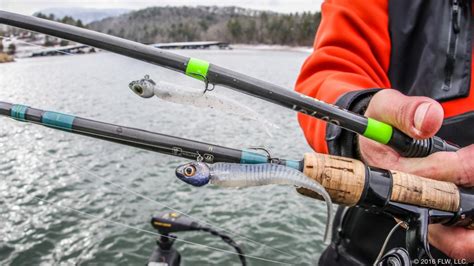 Fishing the Damiki Rig in Winter - FLW Fishing: Articles