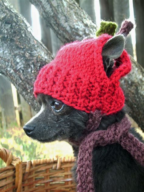 Free Knitting Patterns For Dog Hats