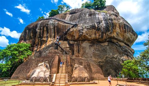 Safari to Water Garden Sigiriya with Africa Travel Resource