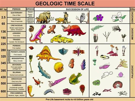 The Geologic Time Scale | Geology (modification for Lehman College ...