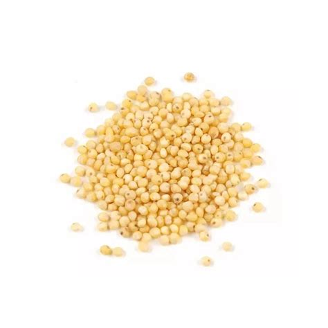 Yellow Millet Glutinous Millet For Bird Feed - Buy Yellow Millet For Sale Wholesale Yellow ...