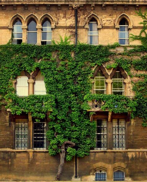 Oxford university buildings, Oxford, UK | Elena Rumianceva | Flickr