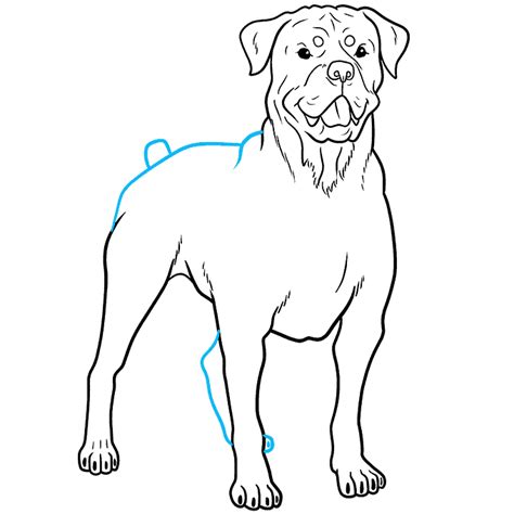 How to Draw a Rottweiler - Really Easy Drawing Tutorial