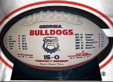 GEORGIA BULLDOGS 2022 NATIONAL CHAMPIONS SOUVENIR FOOTBALLS