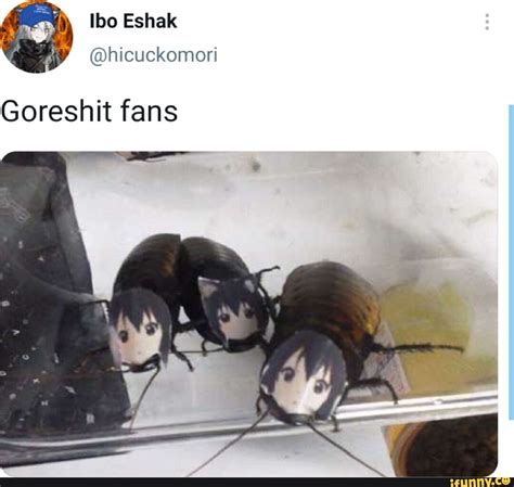 Ibo Eshak Goreshit fans - iFunny