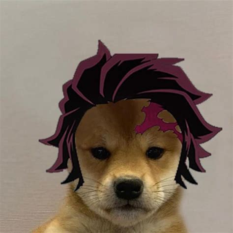 Dogojiro | Dogwifhat | Dog icon, Anime funny, Cute memes