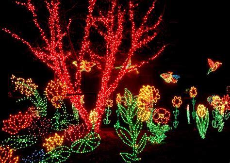 Lights Before Christmas Riverbanks Zoo 2020 | Best New 2020