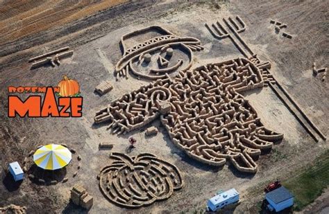 This straw Bale maze is huge! Great work. | Maze, Bozeman, Corn maze