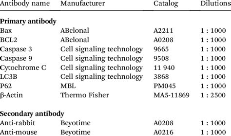 Information of antibodies for western blot | Download Scientific Diagram