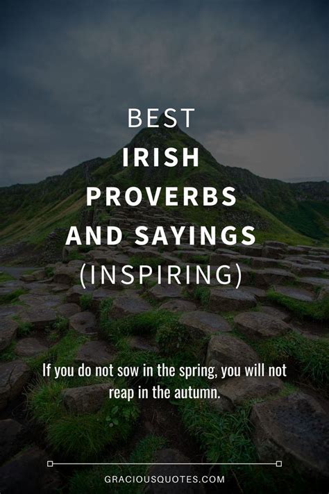 Best Irish Proverbs and Sayings (INSPIRING) - Gracious Quotes | Irish proverbs quotes, Irish ...