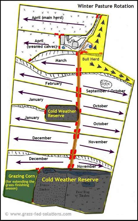 Example Pasture Rotation and Farm Plan for a Grass Fed Beef Business - Part 2