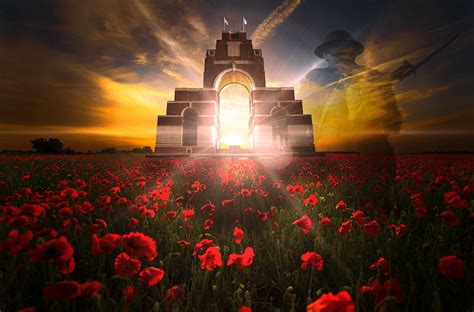 Remembrance day, veterans day, poppy field, poppies, remembrance sunday ...