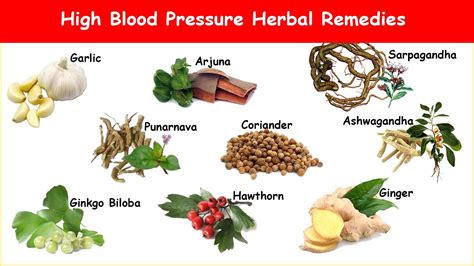 9 High Blood Pressure Herbs to Normalize Hypertension! - YouTube