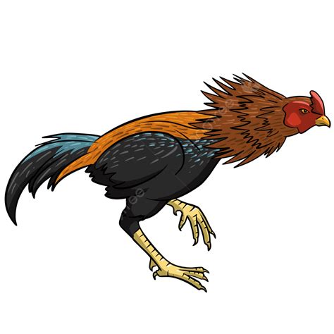 Rooster, Rooster Vector, Rooster Chicken, Fighting Cock PNG and Vector ...