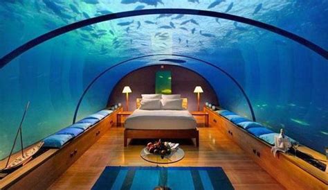 7 Unique Hotels In The Florida Keys | Underwater bedroom, Underwater hotel room, Underwater hotel