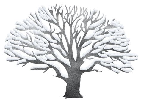 transparent background winter tree clipart - Clip Art Library