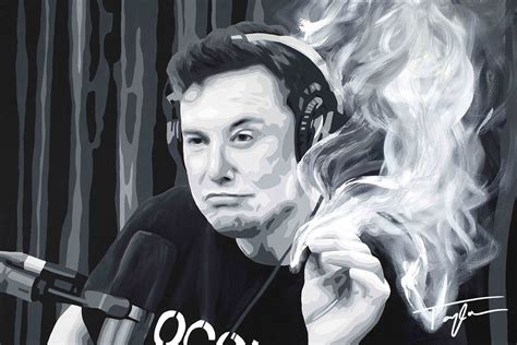 elon musk joe rogan art - howmuchisacampervan