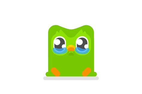 Duolingo redesigned its owl to guilt-trip you even harder | Digital Marketing: SEO & SEM in ...