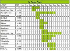 Hatch Charts | True North Trout