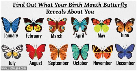 Find Out What Your Birth Month Butterfly Reveals About You