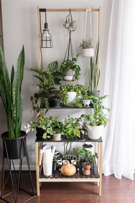 Houseplant Grow Light-19 - By Brittany Goldwyn | Live Creatively