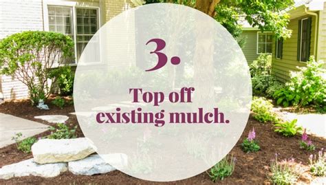 6 Tips for Summer Garden Success