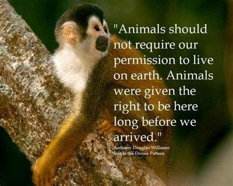 10 Inspiring Quotes about Animals | Animal quotes, Animal rights, Vegan quotes