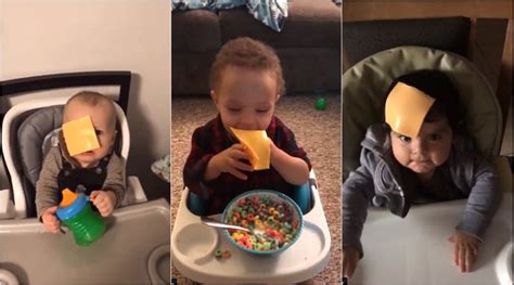 The latest viral ‘cheesed challenge’ requires people to throw cheese ...