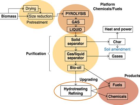 17.1. Fast pyrolysis of biomass process steps to liquid, solid char ...