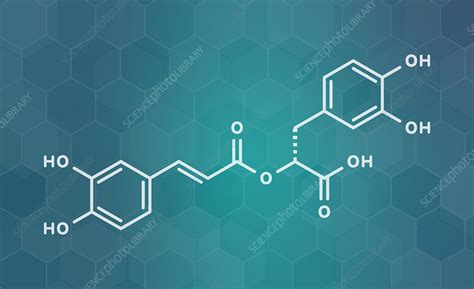 Rosmarinic acid herbal antioxidant molecule, illustration - Stock Image - F030/0139 - Science ...