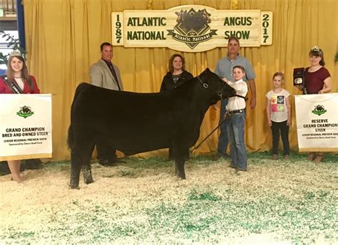 Atlantic National Angus Show | Junior Regional Preview Show – Steers ...