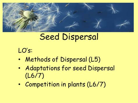 Seed dispersal methods fact sheet & ppt | Teaching Resources