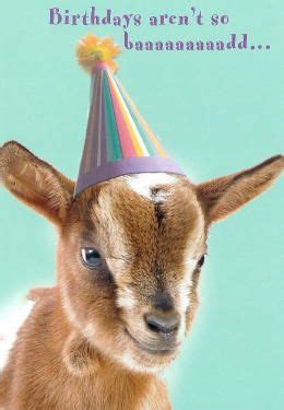 Goat Birthday | Happy birthday kids, Happy birthday goat, Happy ...