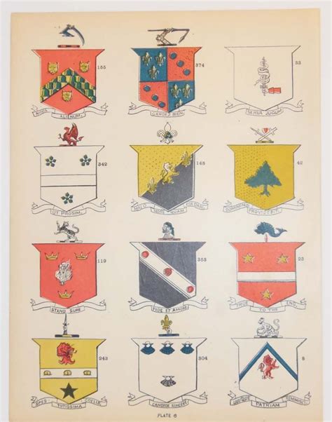 Irish Family Coat of Arms 1902 Plate 6 | Antico Gallery