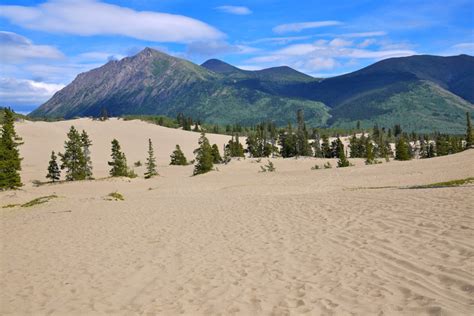 Carcross Desert l Shocking Site - Our Breathing Planet