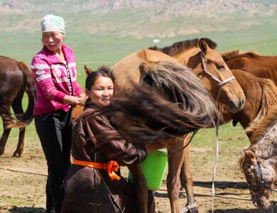 Mongolian Fermented Horse Milk | Mongolian Airag Beverage