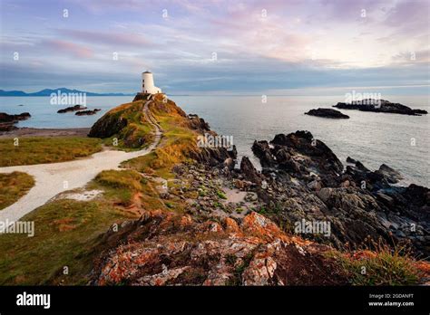 Tŵr Mawr Lighthouse at sunset, Anglesey, North Wales Stock Photo - Alamy