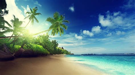 Beach Live Wallpaper - Android Apps on Google Play