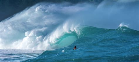 Best Wave Watching on the North Shore Oahu HI