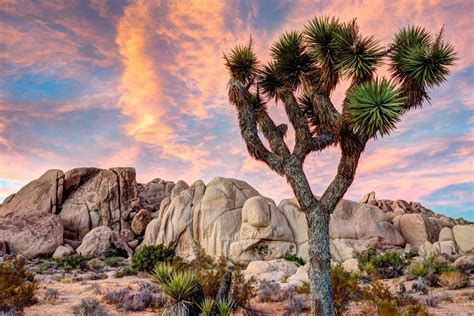 Los 14 mejores parques de California que debes visitar - Tips Para Tu Viaje