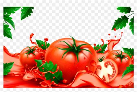 Tomato - Tomato Background Vector, HD Png Download - 866x650 (#34981 ...